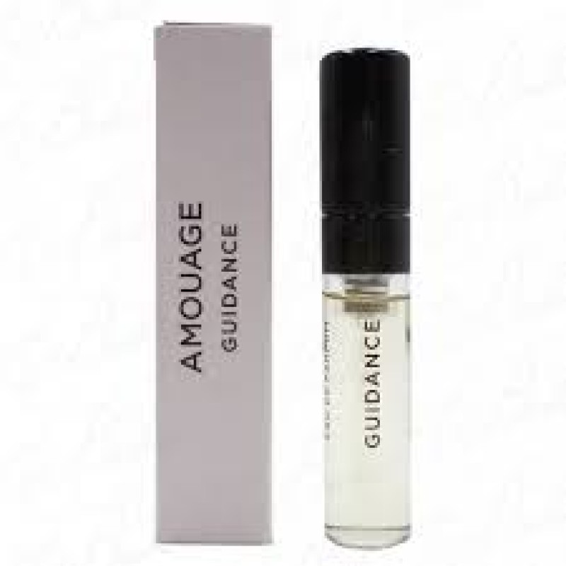 Guidance  - 2ml